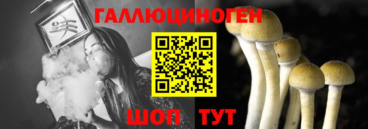 Псилоцибиновые грибы мицелий  Вход с VPN  Орехово-Зуево 